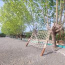 백산금빛캠프장 | 밀양백산금빛 체험 캠핑장 후기, 짚라인, 예약 방법