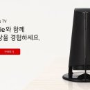 기가케이티 이미지