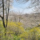 대치스카이공인중개사사무소 이미지