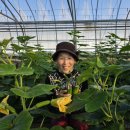 (주)이지팜스 이미지