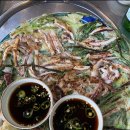 시아당 | 나주 벚꽃 명소 한수제 벚꽃 터널ㅣ광주 근교ㅣ애견 동반 카페, 맛집 금성산가든