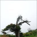 금천목장 이미지