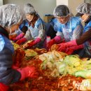 서강석농장 이미지