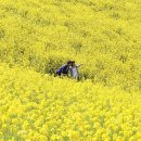 노미목장 이미지