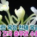 명품풍란 옥잠 천재 옥금강호 각왕산 건국 충무관 수홍 소백 이미지