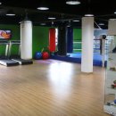 스타일복싱 이미지