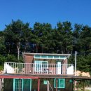 대진펜션 이미지