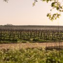 포리공원 이미지