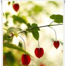 봉길농장 이미지