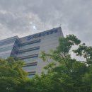 산업은행앞 인도 | 한국산업은행 2024년 하반기 신입 채용 후기 (下)