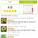 꽃피는뜰 이미지