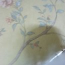 젠트코리아 이미지