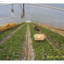 재수 농장 이미지