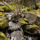 비로야영장 이미지