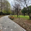 양덕동 삼각지 공원 이미지