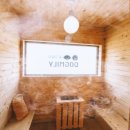 도그밀리 이미지