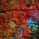 둘레길9구간 | 북한산 둘레길 단풍(9구간) / 은평한옥마을 카페까지 여유로운 코스 추천