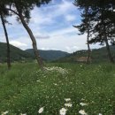 대장금마실길(4코스) 이미지