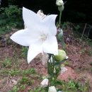 털보농장 이미지