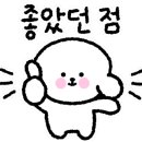 쉬다가개 애견호텔유치원 이미지