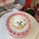 펫미픽미 이미지