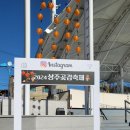 2024 상주곶감축제 - 아이와 함께하기 좋은 지역축제