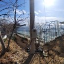 익금민박 이미지