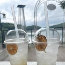 달콤피시 | 파주 마장호수 카페 베르테라 주차 닥터피시 체험후기