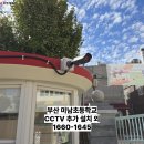 미남초등학교 이미지