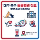 가나 동물병원 | 대구 북구 동물병원 진료 바로가기 (+야간 응급 진료)
