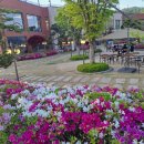 스킬당구장 이미지