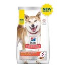 퍼펙트바이트 이미지