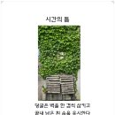 진순희