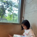 아람나무유치원 | 세돌아기 전집 그레이트북스, 비룡소 사각사각, 키즈엠 나는책보 등 창작 후기