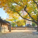 석정약국 이미지