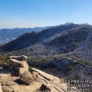 월하행정사사무소 이미지