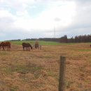 청파목장 이미지