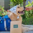 베이커리 라누 이미지