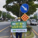 한생명 느티나무 이미지