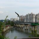 포구의 오후 이미지