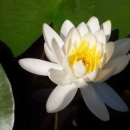 나를 찾아 떠나는 음악 여행 이미지