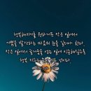 - 핸리 워드 비처 - 이미지