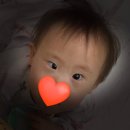 안진상사 이미지