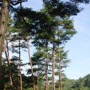 수하골(2) 이미지