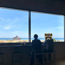 [부모님과 2박 3일 제주도 여행] 촌촌해녀촌 재방문 후기 | 제주 구좌카페 레이오버 | 코난비치...