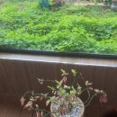 목림농장 네이버블로그