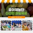 제철태권도 이미지