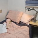 리브가 스테이 이미지