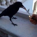 포비PC방 이미지