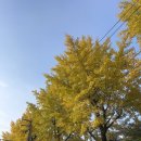 씨유신사공원점 | 11월 일상 온야드 커트 내돈내산